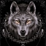 Profile picture of Jonathan Hernandez