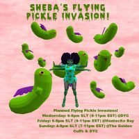 43952015_2033543756703114_5948584096425836544_n 