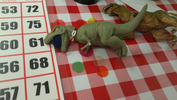 44511046_2111681495808974_1967831801732792320_o