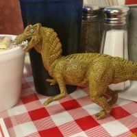 44517105_2111681589142298_3756342594234220544_o 