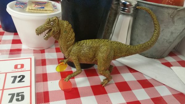 44536577_2111681552475635_3688390069808267264_o