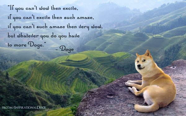 10012177_359551700917822_2068685039470582190_o