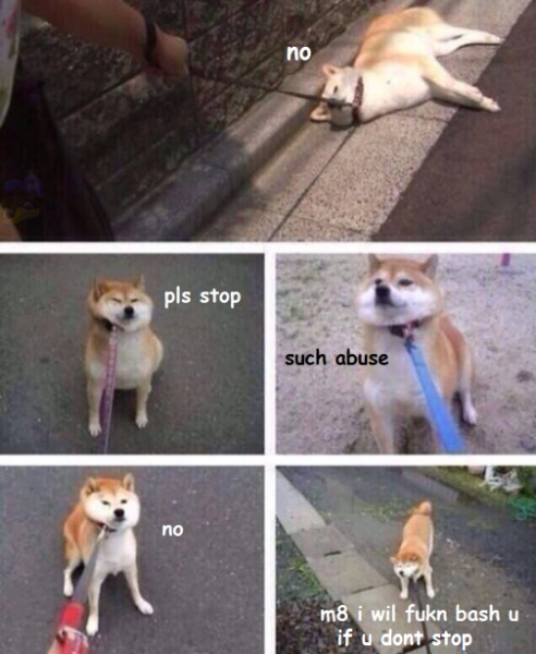 1009998_502230526549062_752186216_n