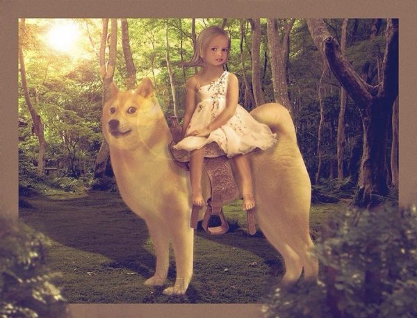 10273825_402949323179277_7043707318555619216_n