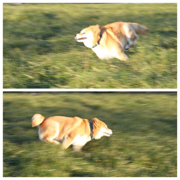 10277933_864645760266135_3714237431524246271_n