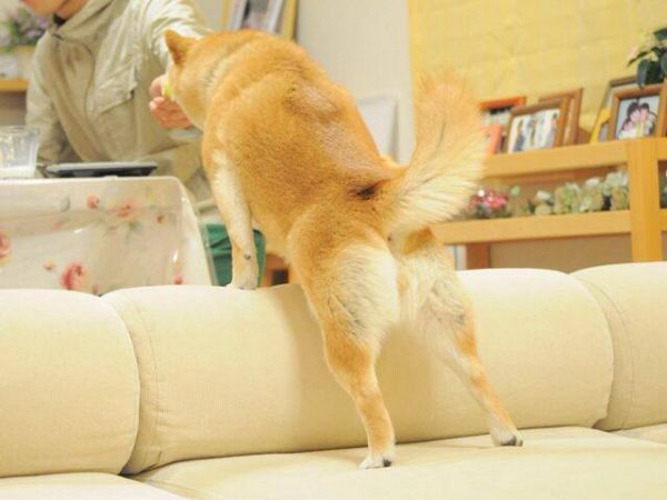 10330254_293436884150616_2507680320215106577_n