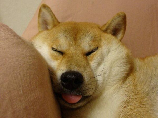 10366104_306912046136433_2758520571966953643_n