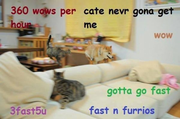 10408501_1035545749808389_6991114129791582959_n