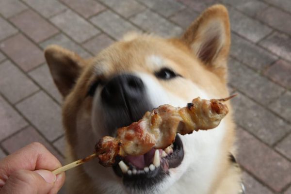 10409312_918759798188064_2115304637734667539_n