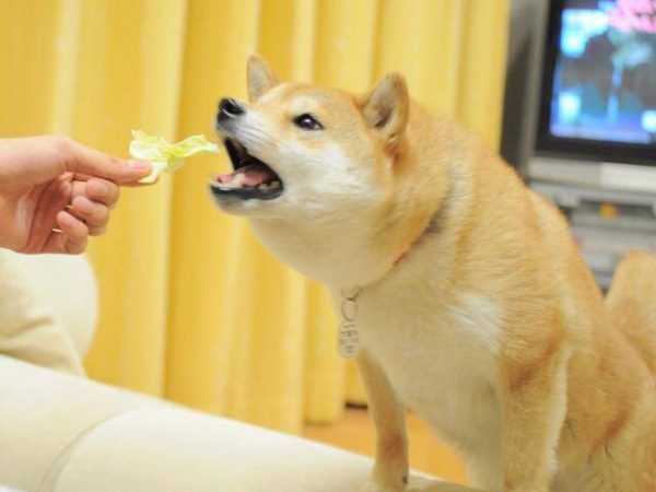 10455339_293437054150599_444256717660423837_n