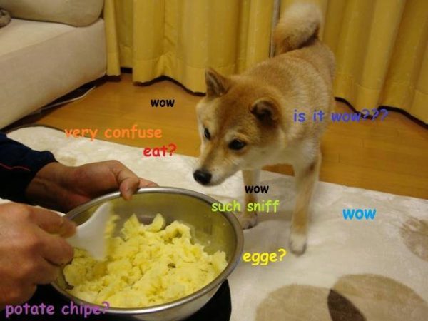 10523836_873065726056393_4319542056485329682_n