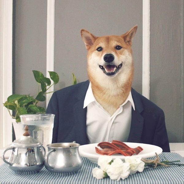 10525959_538431832946361_5528218180716190049_n