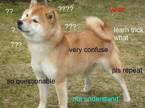 10559715_1035547629808201_2978325469406932828_n