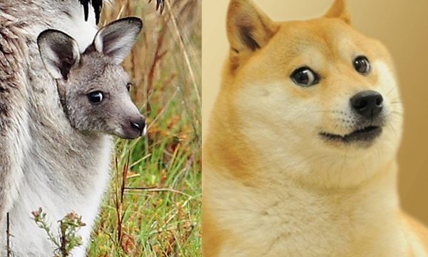 10620442_497560720384803_5725345172587485132_o