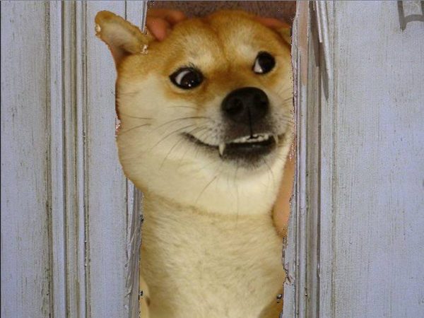 10653540_10206479816093408_5957761563941121396_n