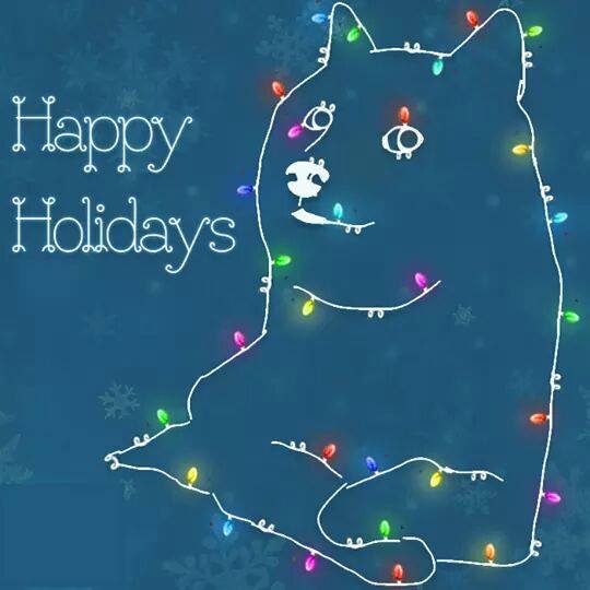 10857732_10205311652901233_8075517710410588346_n