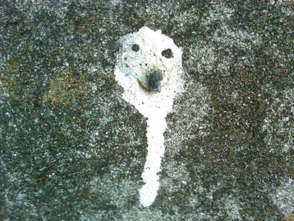 10915266_1035549383141359_276948518115585615_n