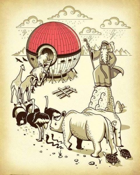 10984149_10206664988846712_3116591754297631791_n