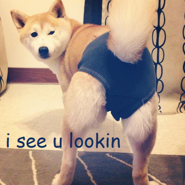 10988294_1035544799808484_7657358080011973772_n