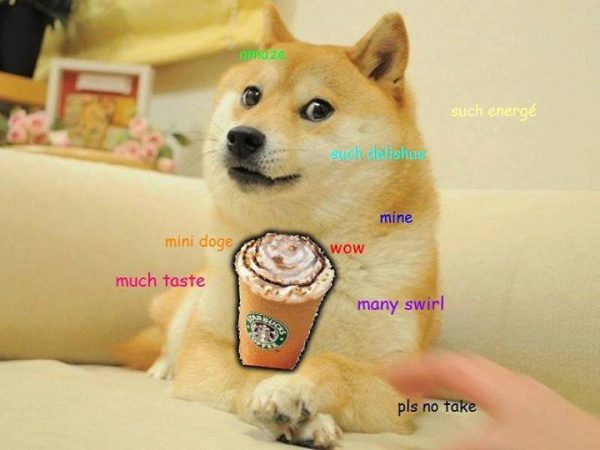 11075159_1035554259807538_9209558709892751256_n – Copy