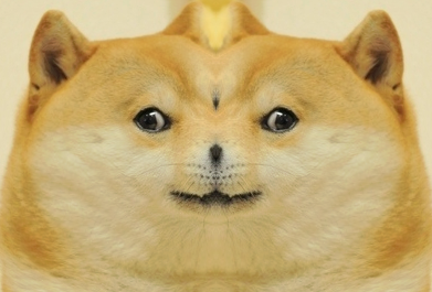 11082567_1035554343140863_3657300327823480321_n – Copy