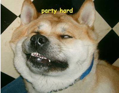 11082571_1035545926475038_326723189165370938_n