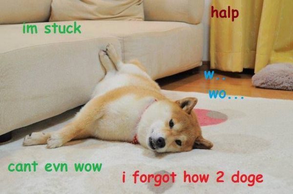 11083892_1035552166474414_7674856996765471246_n – Copy