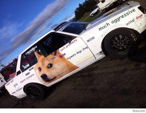 11147081_950705051620867_4159411960841482706_n – Copy