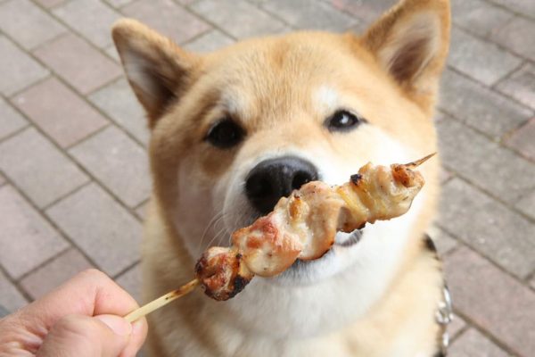 11156149_918759824854728_6031604304459797883_n – Copy