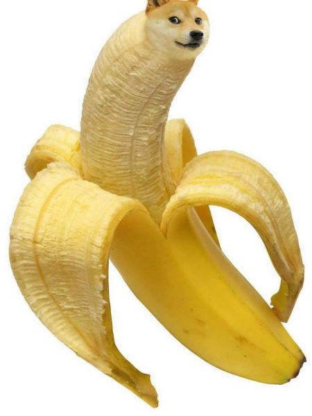 11203195_10155585572515118_8742329819352314575_n – Copy