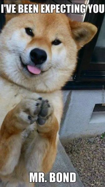 11694975_1092568214106142_2454596841688313186_n – Copy