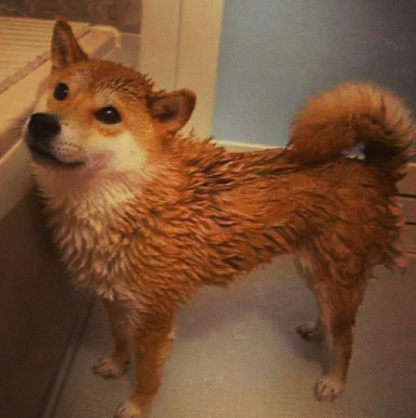 11709554_1092569890772641_6245672889801945030_n – Copy