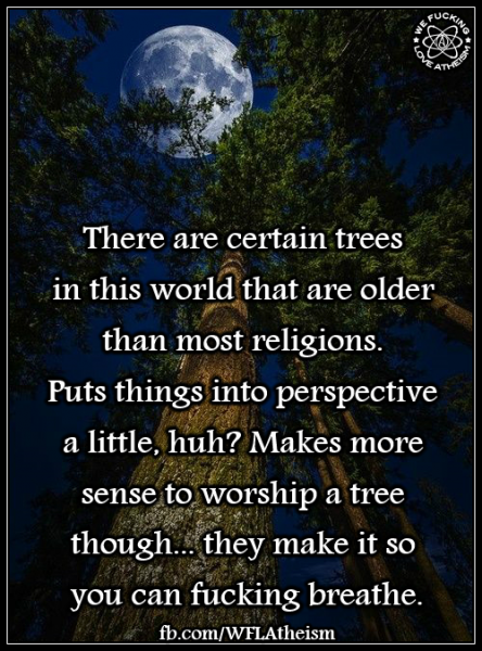 1379808_765067783567709_3655433527303016644_n