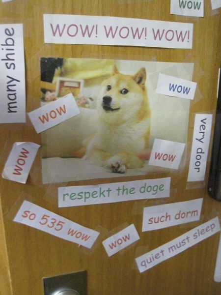 1385912_1035547063141591_587334952249529385_n