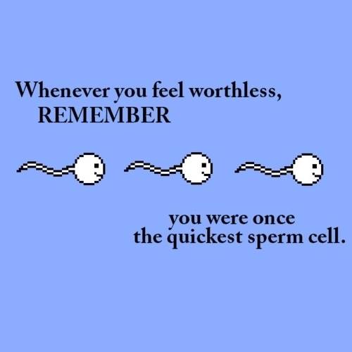 1459743_667955016561046_746880144_n