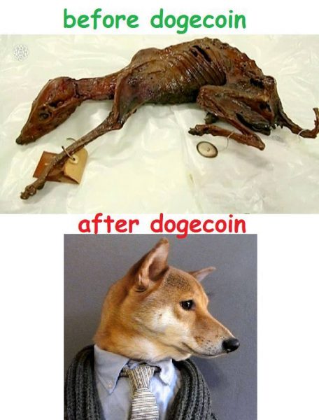 1472930_263092153844289_1647558523_n