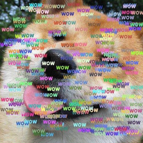 16898_1035552346474396_1469283800991945159_n