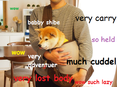 1896912_807331435963156_195796401_n