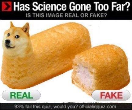 1910507_872862599410039_3810816820889405993_n