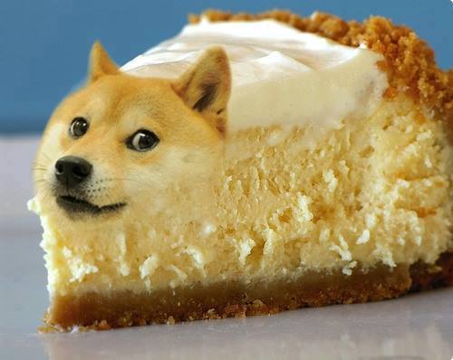 1926941_1035546936474937_5784109384008897214_n