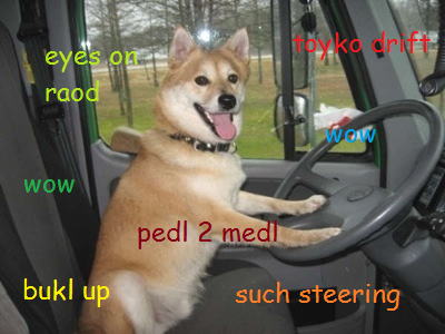 1959380_807332669296366_2142121333_n