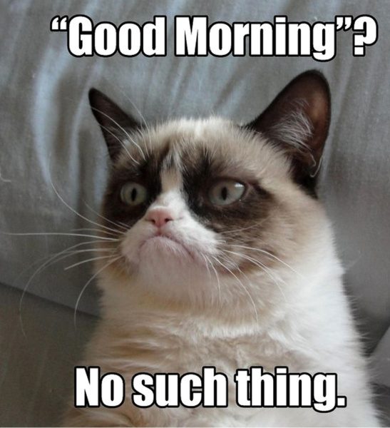 1a-grumpy-cat-art-gu8kjvrb-1good-morning-cat