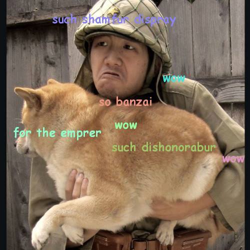 28008_807337722629194_1278414638_n