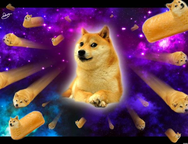 41362-doge-twinkie-doge-in-space