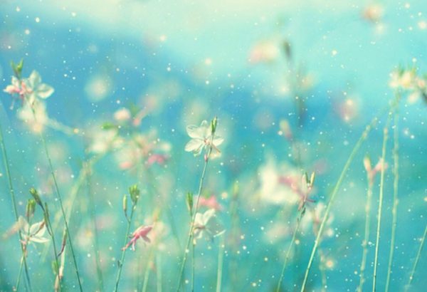 49027CF9-D816-496C-A47D-6C52D5E1A738