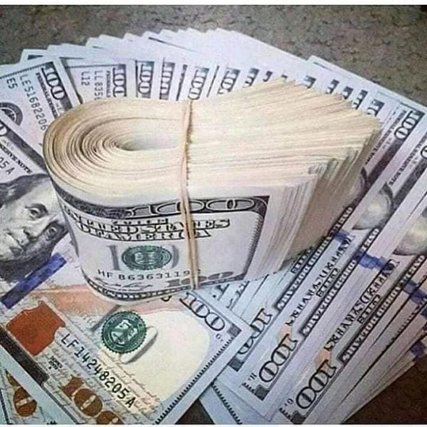 51298995_249809235958304_2761812349563174912_n