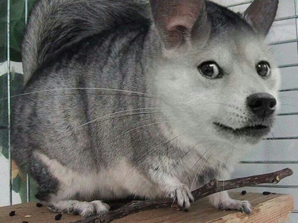 720x540xb8c862cd392d23f5034b4698