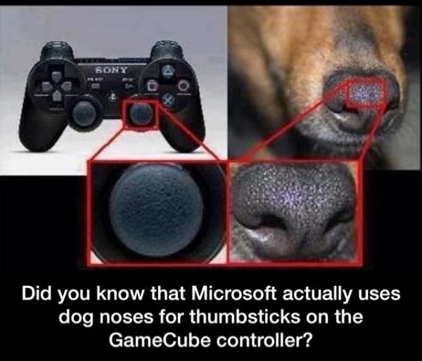 e653e6953c0f2389f8ee16157ab773329ab4d3f945a2a8b87572568f9352838f_1