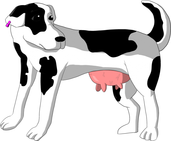 finkmac_by_arpeejajo-d6neju9